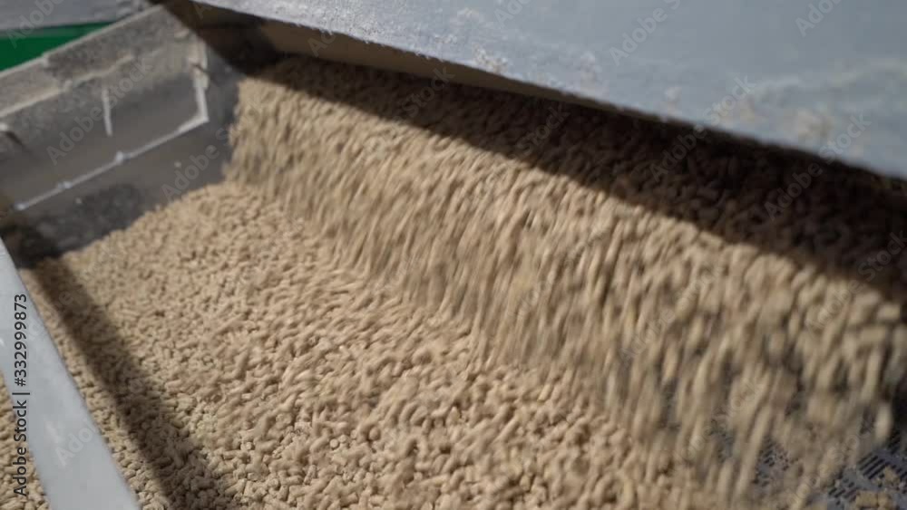 Pet food production. Feed pours on conveyor belt, close-up Pet food production. Feed pours on conveyor belt, close-up