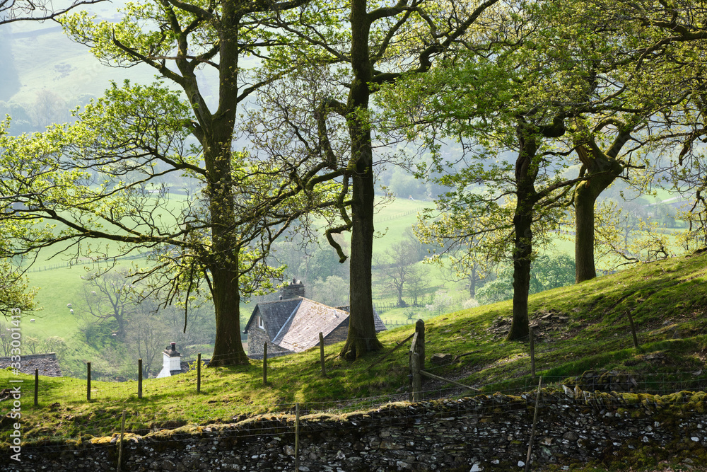 Slate rooftop seen through trees on a hillside above Troutbeck. Cumbria, UK. Slate rooftop seen through trees on a hillside above Troutbeck. Cumbria, UK.