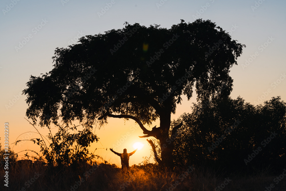 Silhouette of man between nature with open arms against sunset Silhouette of man between nature with open arms against sunset