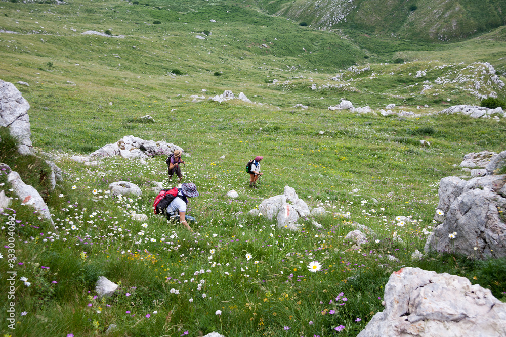 three female hikers walk on the Miletto mount. Matese Park, Campania, Italy