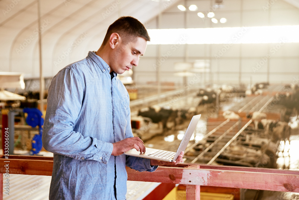 Industrial Automated Farm worker with laptop on the background of the production of cow's milk and beef Industrial Automated Farm worker with laptop on the background of the production of cow's milk and beef