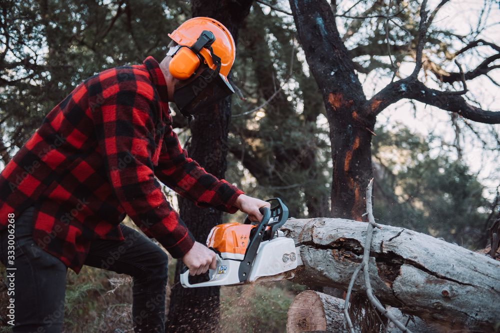 Chainsaws at Sunset