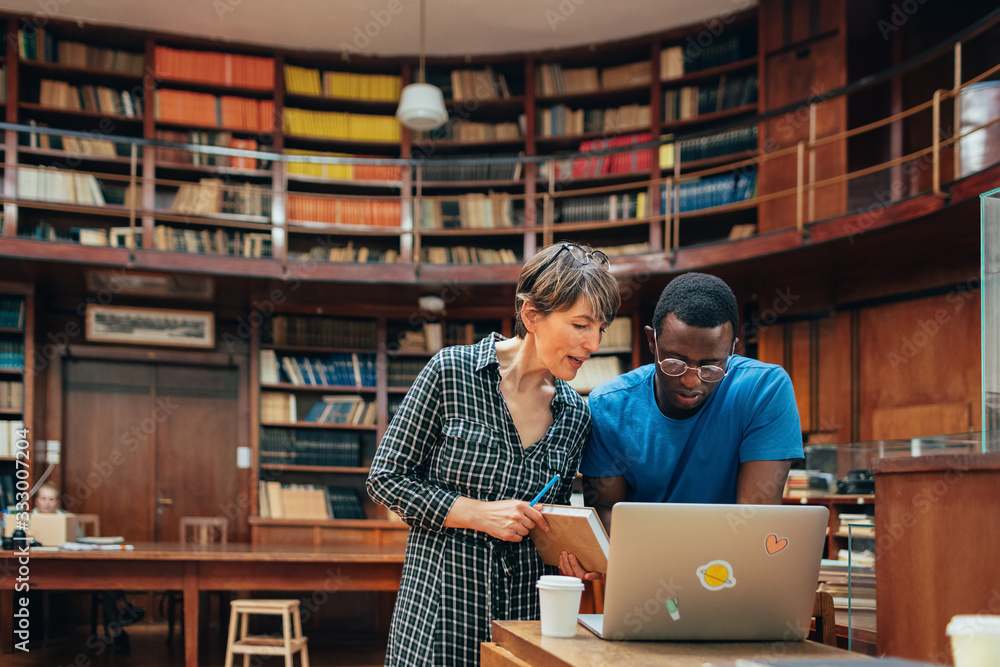 © Studio Firma/Stocksy - A Day in the Library