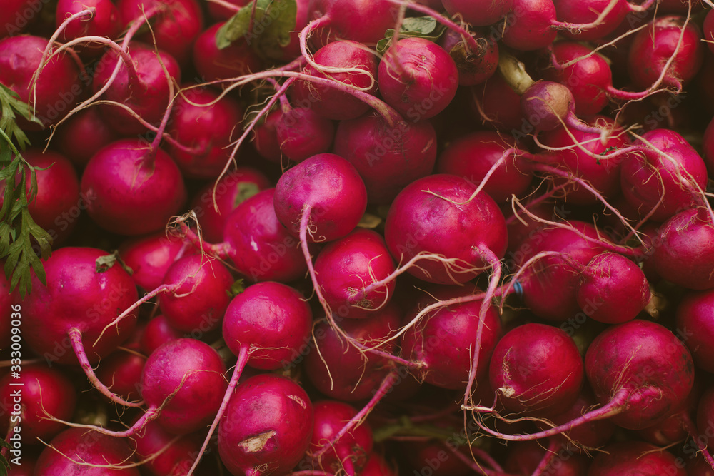 Radishes at farmers market Radishes at farmers market