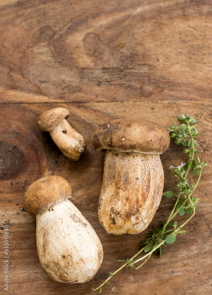 Fresh porcini mushrooms Fresh porcini mushrooms