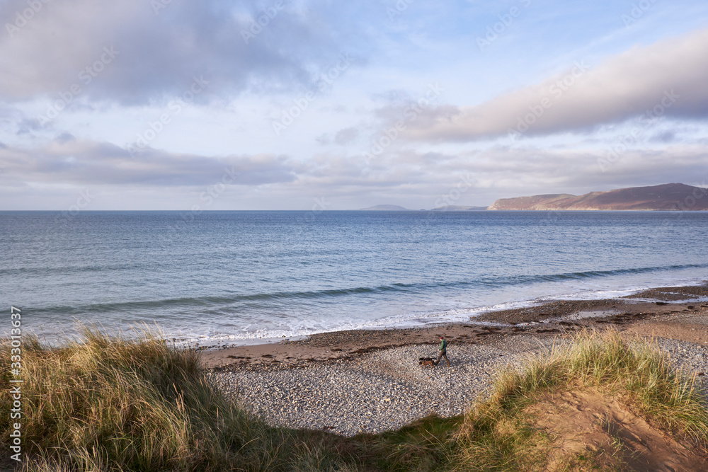 Dog walking at sunrise. Porth Neigwl (Hells Mouth) Beach, Wales, UK. Dog walking at sunrise. Porth Neigwl (Hells Mouth) Beach, Wales, UK.