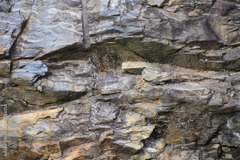 Nature Abstract: Pattern Created by Cracks and Crevices in a Solid Rock Wall Nature Abstract: Pattern Created by Cracks and Crevices in a Solid Rock Wall