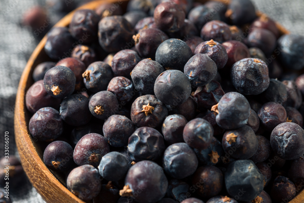 Fototapeta premium Raw Purple Organic Juniper Berries