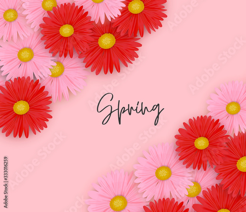 Spring background with pink and red daisy flowers. Vector illustration.