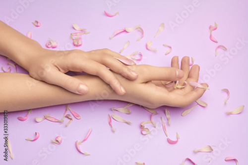 Womans hands with a bright pink gerbera flowers on a purple backround. Product or skin care, natural petal cosmetics, anti-wrinkle hand care.
