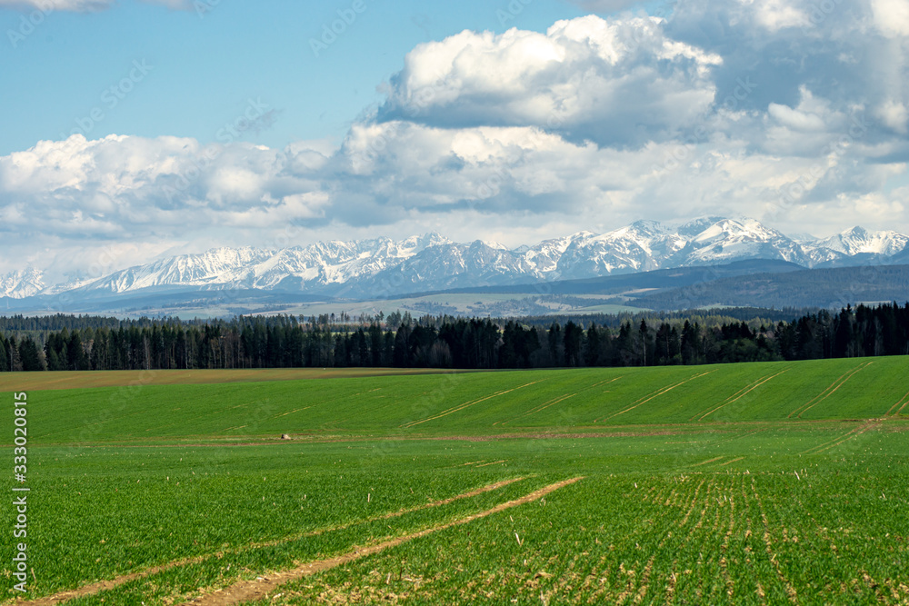 Fototapeta premium Beautiful view of the Tatra mountains. Mountains in the background, meadows and forests in the foreground