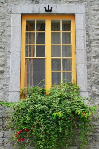 Yellow window with a window box in Old Town Quebec City. 