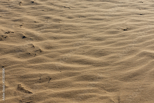  Abstract texture on the sand of a beach. The sand is lit by the sun.