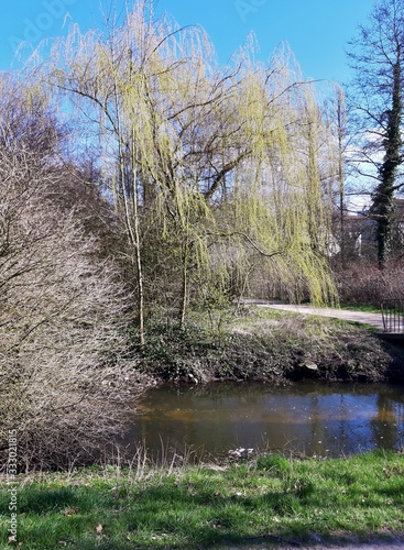 Eichtalpark in Wandsbek photo