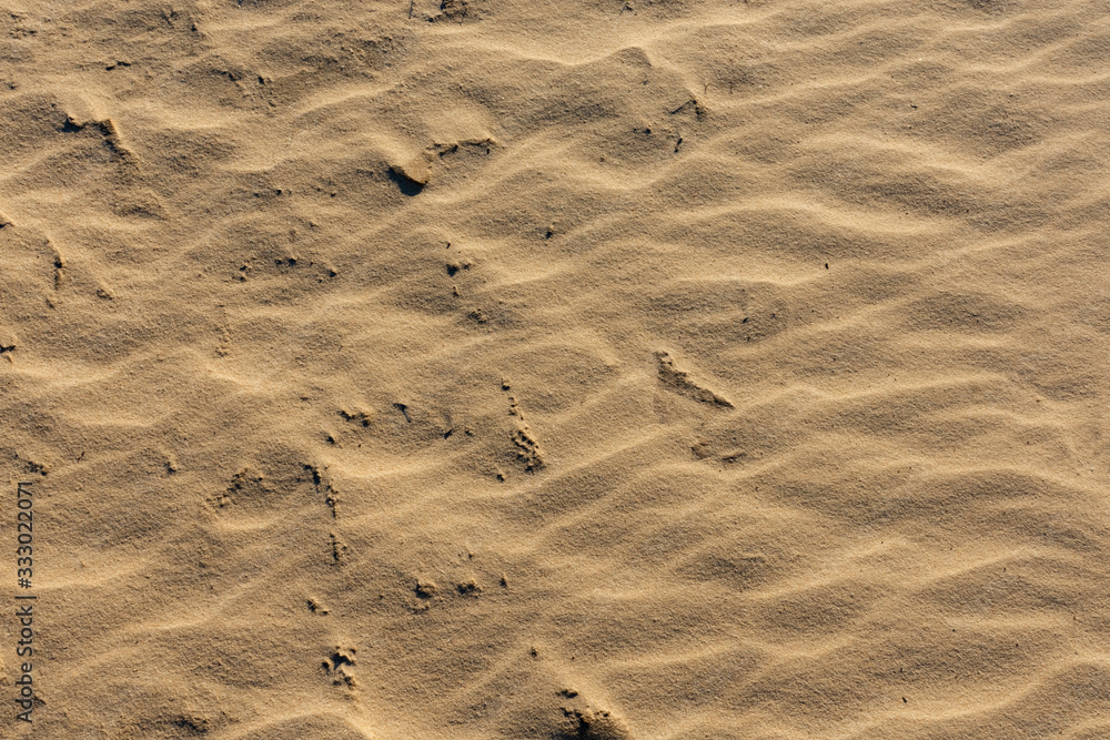 Abstract texture on the sand of a beach. The sand is lit by the sun. Abstract texture on the sand of a beach. The sand is lit by the sun.