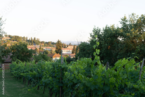 view of the village Tuscany Italy © Marina