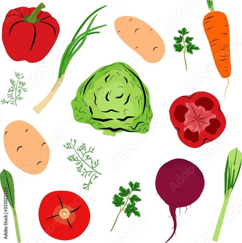 Ingredients for preparation of borscht. Different colorful vegetables clipart set.