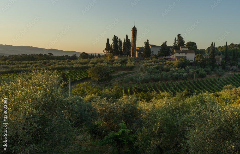 Tuscany vineyards sunrise