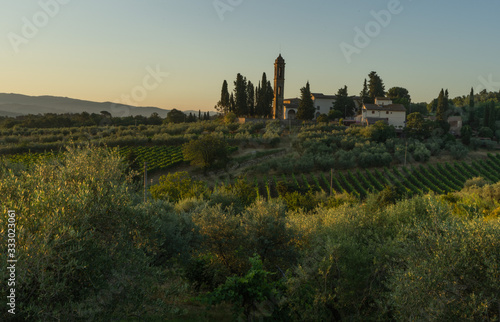 Tuscany vineyards sunrise