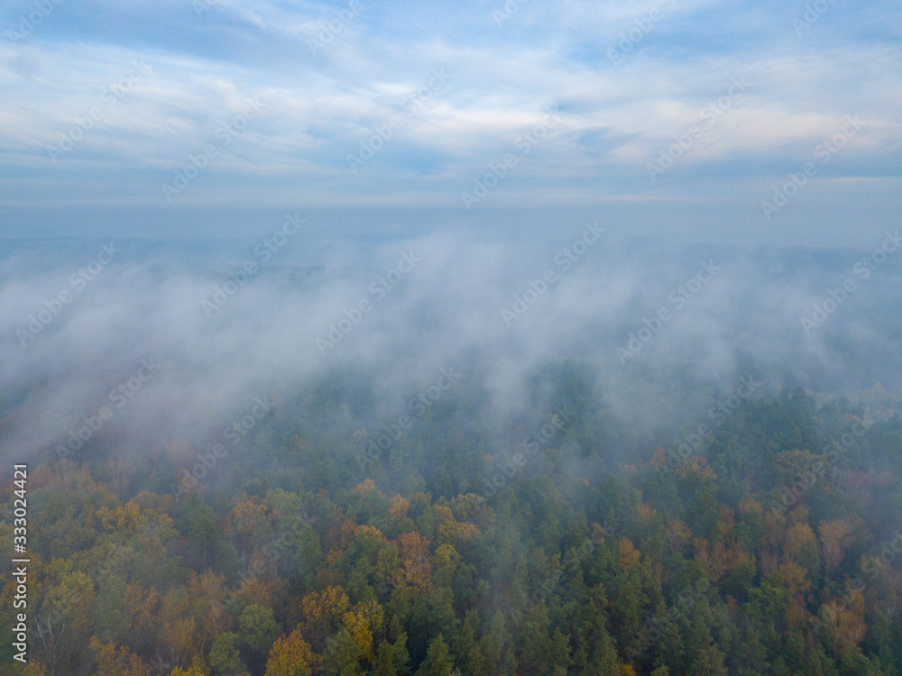 Beautiful Misty forest drone landscape