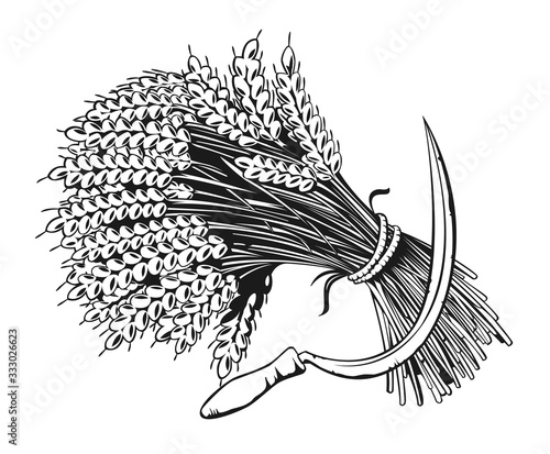 Sheaf of organic wheat and sickle engraving, vector illustration