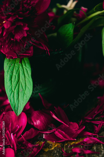 Dark burgunfy peonies in a vase loosing their petals on wooden table photo