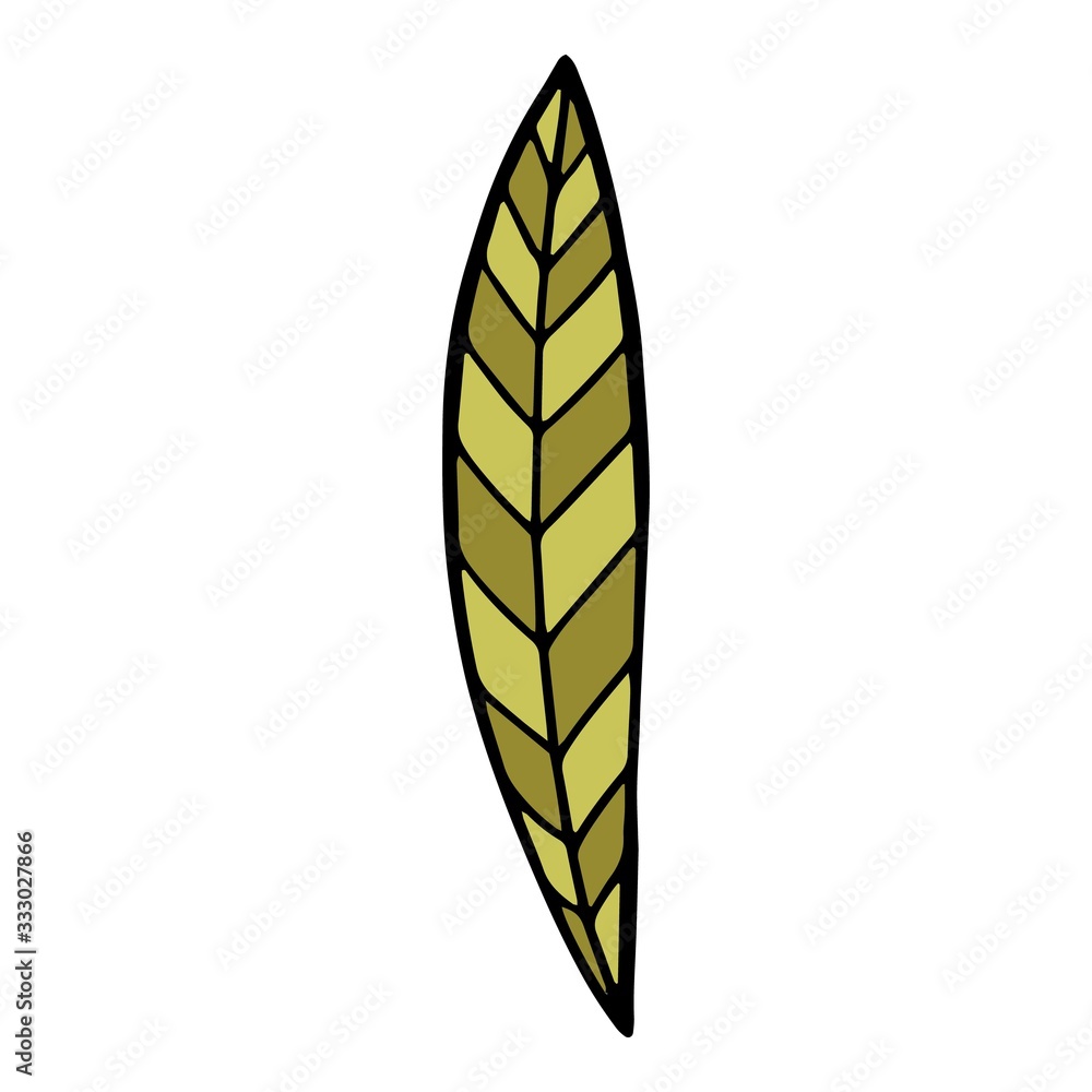 Long leaf field plant icon. Hand drawn illustration of long leaf field plant vector icon for web design Long leaf field plant icon. Hand drawn illustration of long leaf field plant vector icon for web design