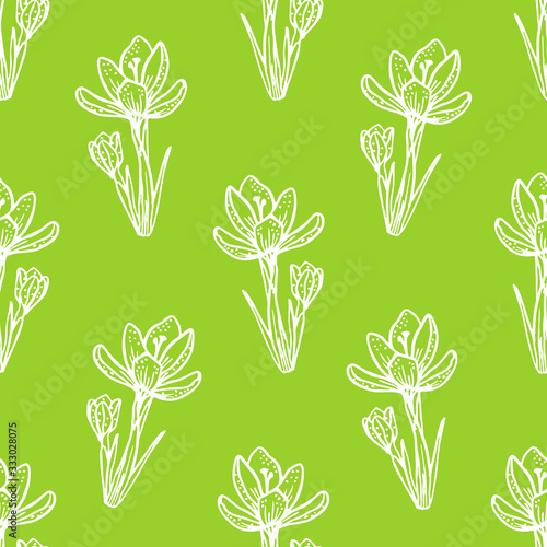 Seamless vector pattern. Spring crocuses on green backdrop. Drawn by hand, graphics with contour. For the design of wallpapers, covers, textiles and factories, fabric and wrapping paper.