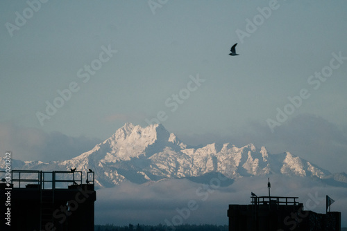 View of The Brothers mountain peaks from the Edmonds ferry terminal photo