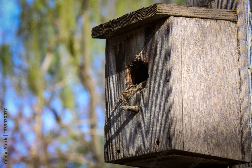 wooden bird house on wall