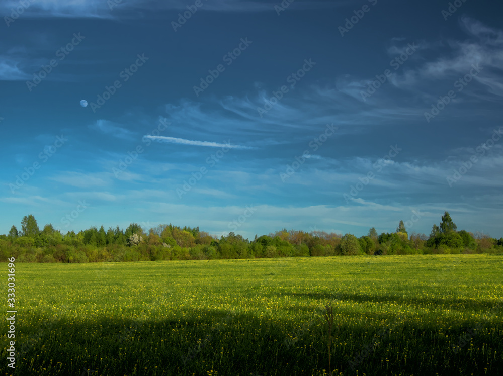 Obraz premium Beautiful green cornfield with land air atmosphere blue bright and orange yellow dramatic sunset sky