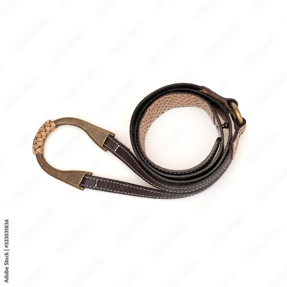 Leather belt with reptile decor isolated on a white background Leather belt with reptile decor isolated on a white background