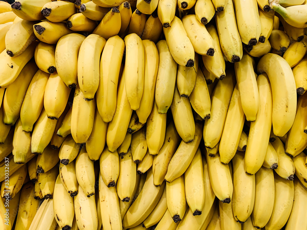 lots of delicious ripe yellow sweet bananas for eating a background