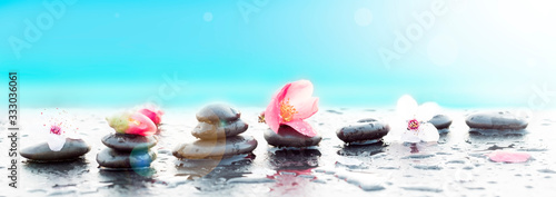 Photography Zen arrangement