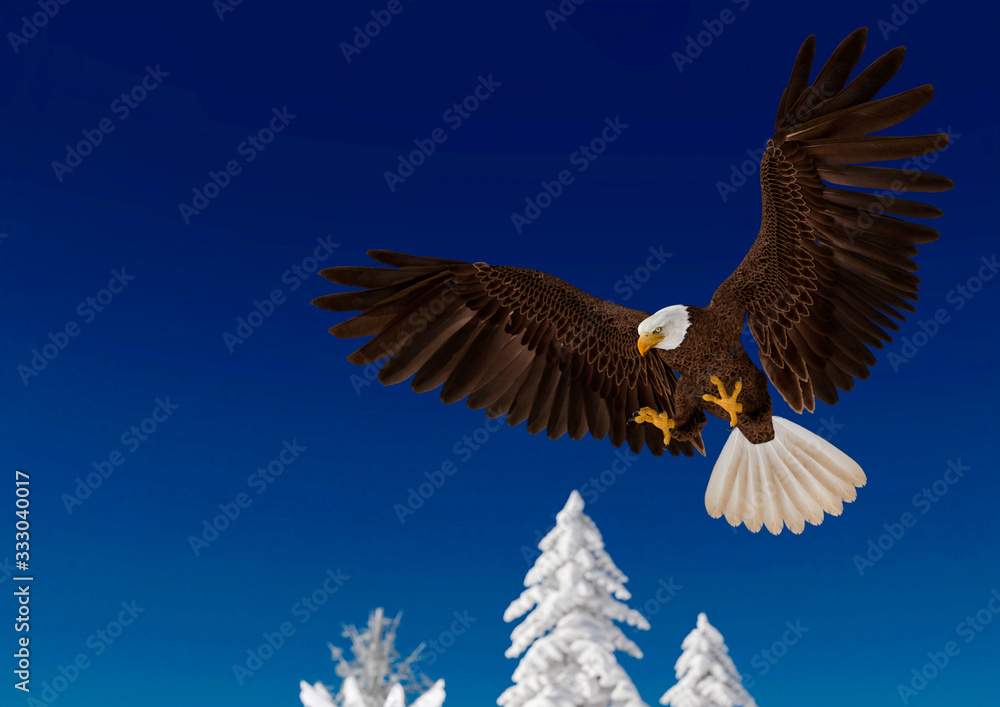 Naklejka premium bald eagle in action on white snow_