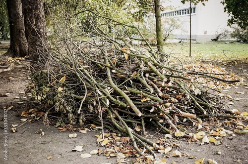 Canvas Print Beautiful shot of a pile of twigs on a cement ground with a blurred background