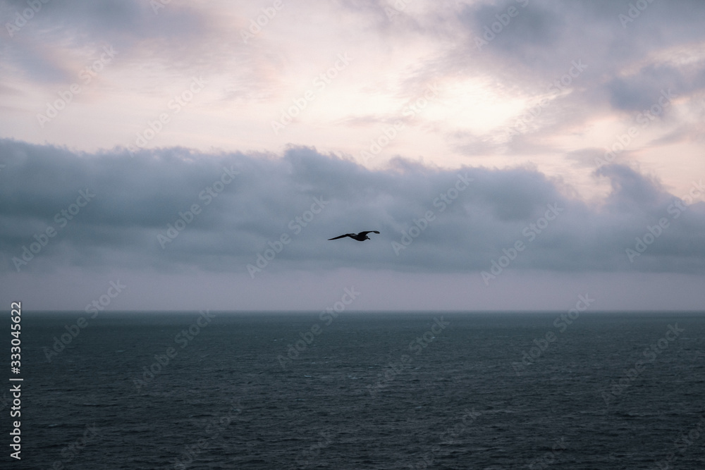 Flying bird over sea against cloudy sky