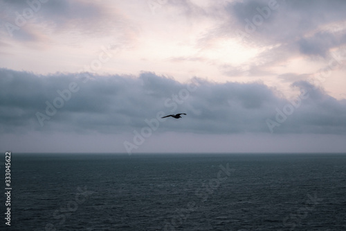 Flying bird over sea against cloudy sky