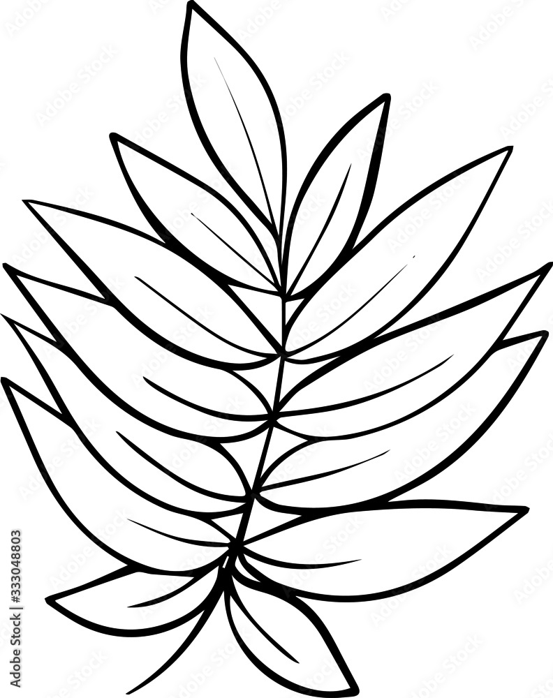 a hand-drawn branch of leaves on a white background in the style of a Doodle. Vector illustration a hand-drawn branch of leaves on a white background in the style of a Doodle. Vector illustration