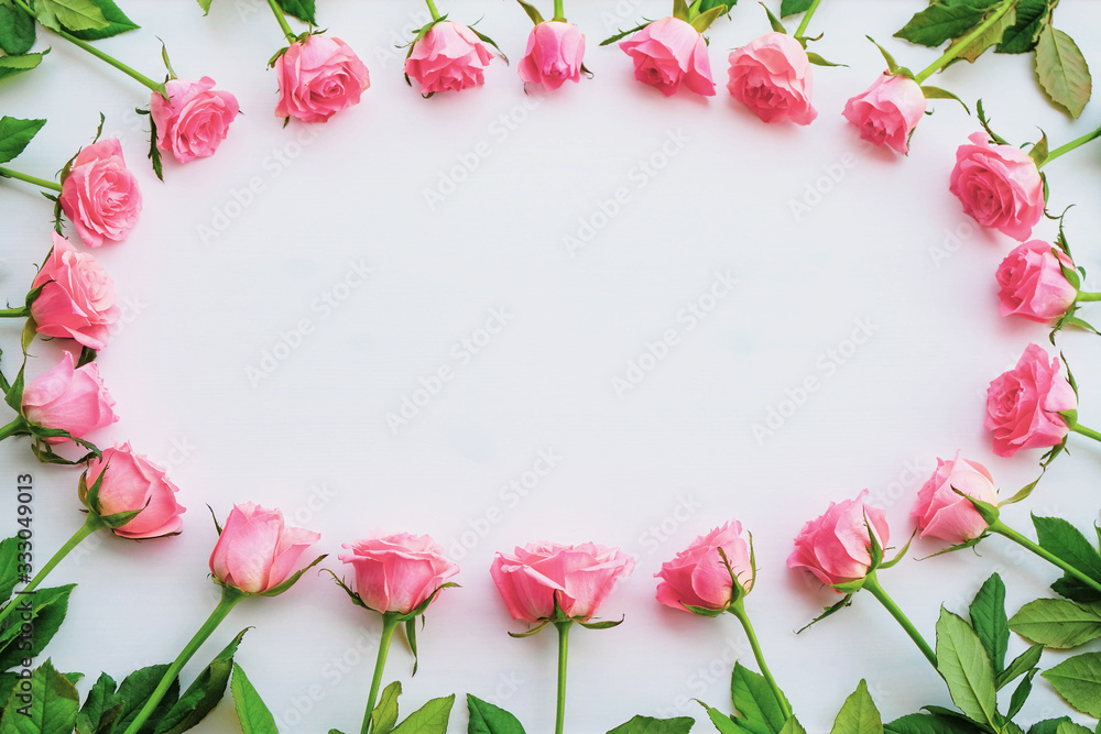 Floral frame made of fresh pink roses in full bloom on white background.