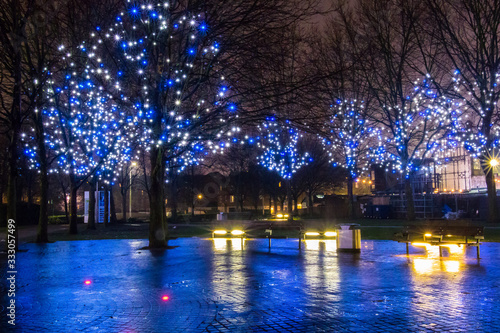light on trees, london by night before christmas