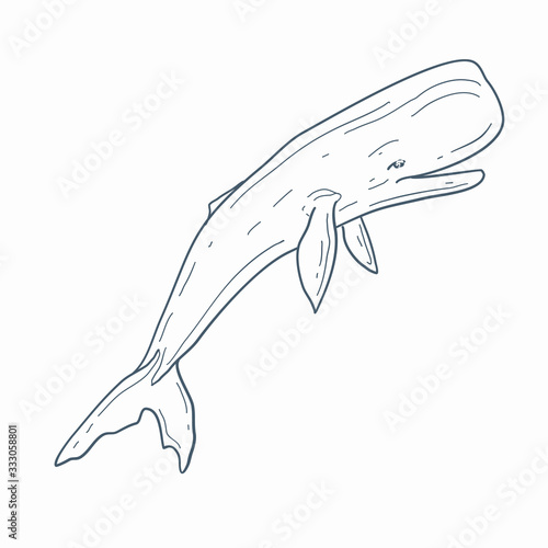 Sperm whale vector line art. Cartoon sperm whale illustration.