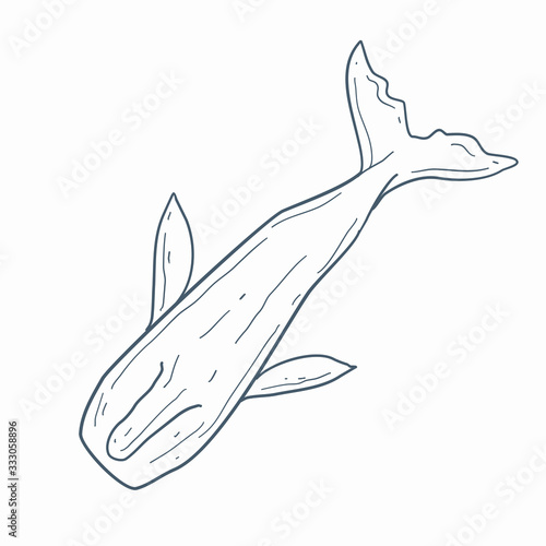 Sperm whale vector line art. Cartoon sperm whale illustration.