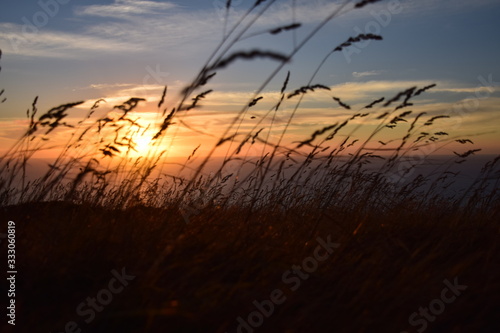 Sunset in the fields on New Zealands coast