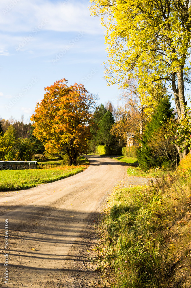 Obraz premium autumn in the park