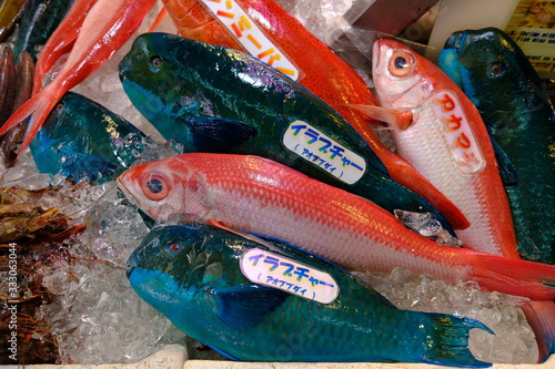 Okinawa Japan - fish market blue Parrotfish photo