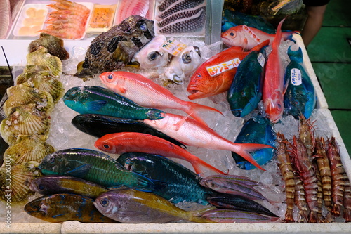 Okinawa Japan - fish market variation of seafood