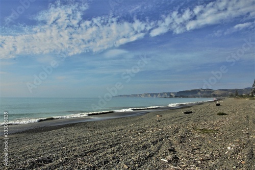 Wallpaper Mural Deserted remote beach in New Zealand. Solitude of untouched beach Torontodigital.ca