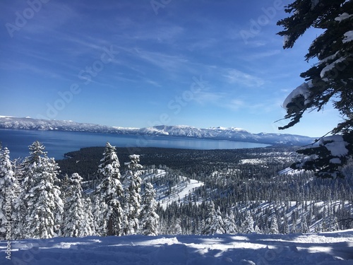 homewood vista