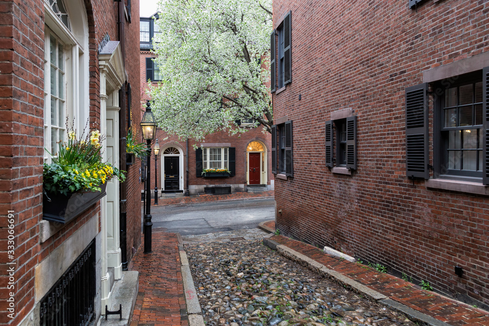A Spring Afternoon on Beacon Hill, Boston